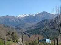 snow covered mountains in the distance