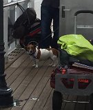 20170607 queen mary2-6457