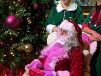 christmas visitors