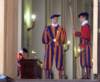 swissguards_small.jpg