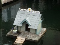 couldnt resist it !!