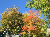 the colours were wonderful